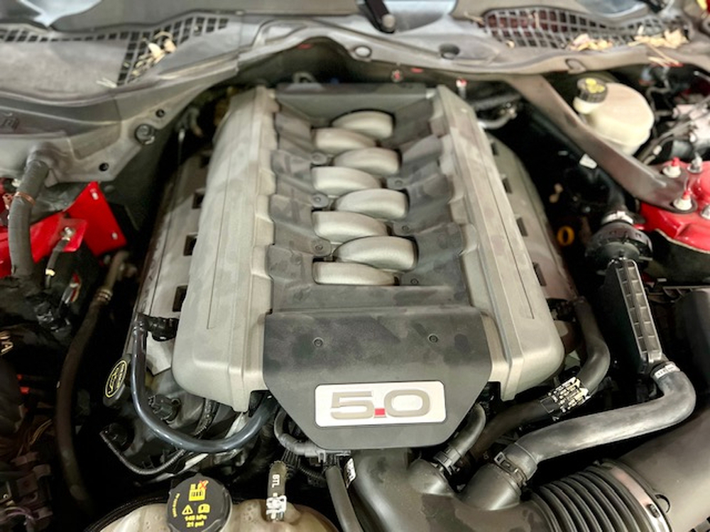 Ford Mustang GT foto 15